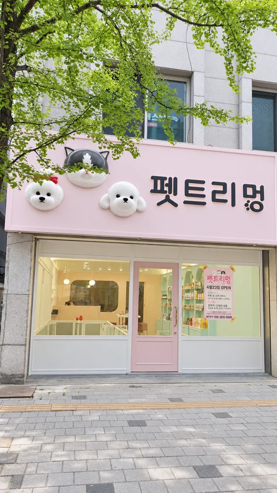 펫트리멍 · 실제 시공 현장의 낮 분위기를 AI로 연출한 참고 이미지 · AI 연출 이미지